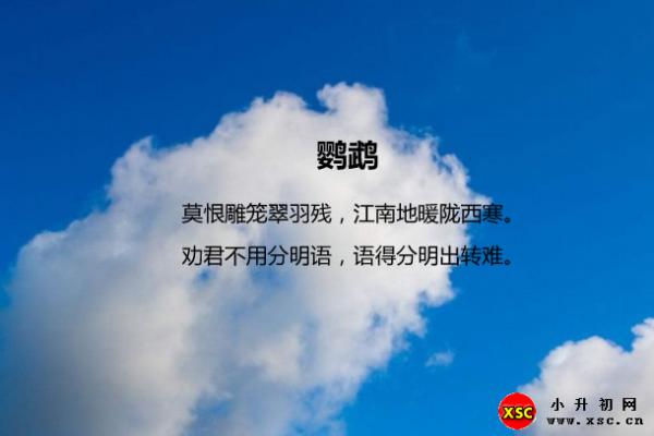 罗隐鹦鹉翻译、赏析、拼音版注音与阅读答案