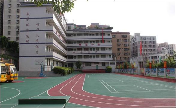 深圳市罗湖区育龙学校收费标准及学校简介