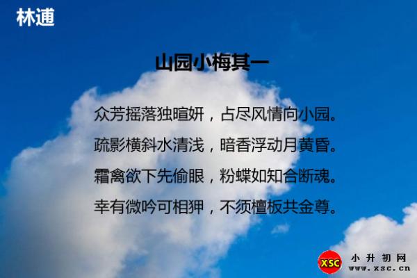 山园小梅翻译赏析拼音版与阅读答案（林逋）