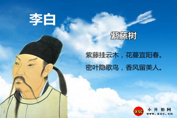 李白紫藤树阅读答案（翻译赏析与拼音版注音）