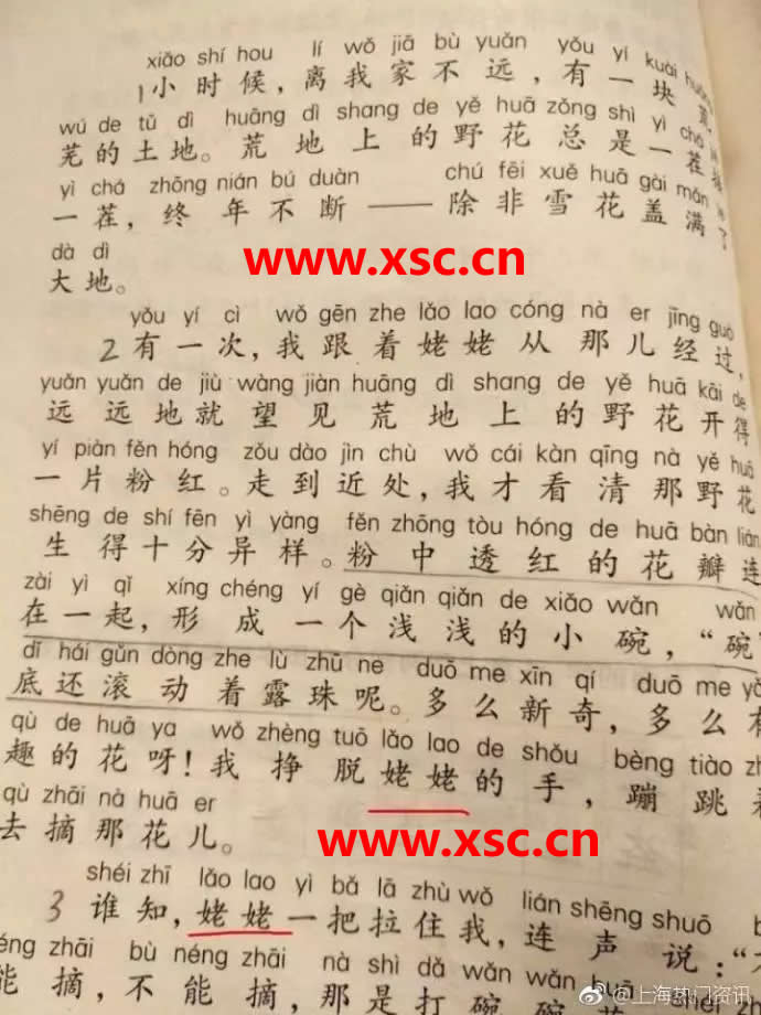 小升初网 www.xsc.cn.jpg