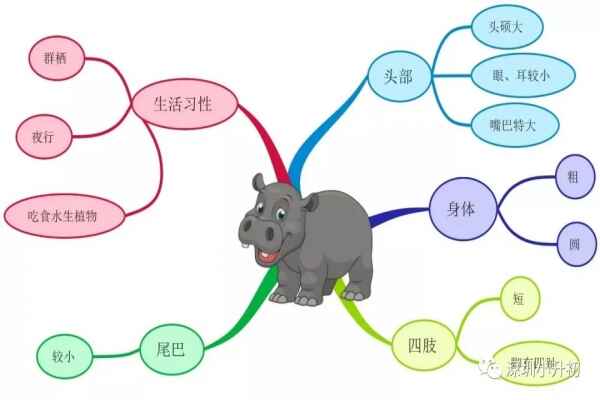 小学状物作文写作技巧及经典范文