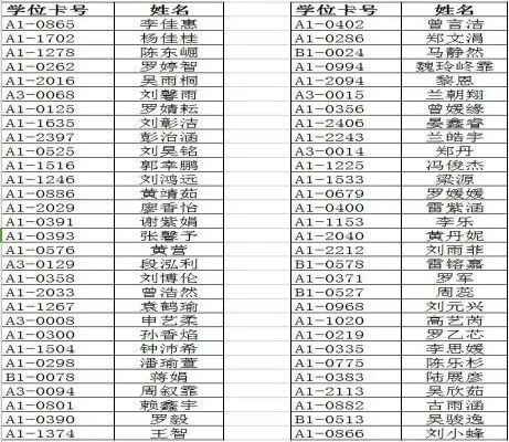 2018年内江二中小升初特长生录取名单