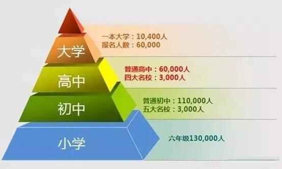 2019年深圳小升初入学途径盘点