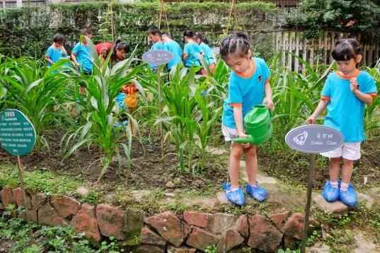 金苹果新蒙特梭利幼儿园收费标准（学费）及学校简介