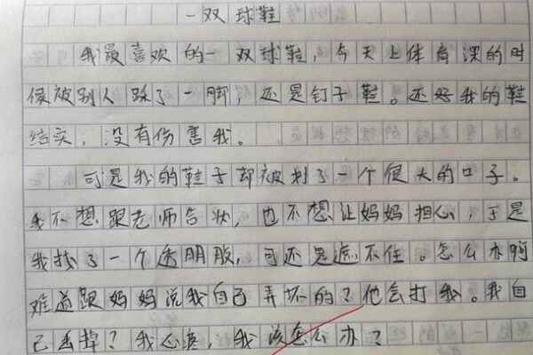 关于球鞋的作文：《一双球鞋》