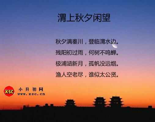 渭上秋夕闲望颔联写了哪些意象？运用了什么手法？