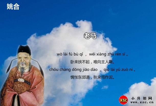 老马.jpg