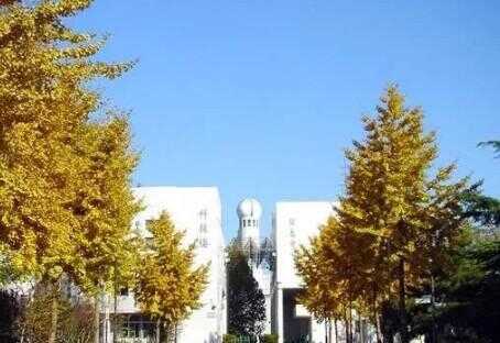 2019北师大亚太实验学校小升初招生最新信息