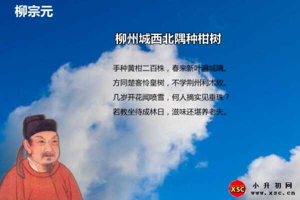 柳州城西北隅种柑树阅读答案（柳宗元）