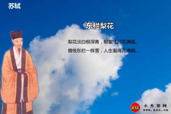 东栏梨花阅读答案（苏轼）