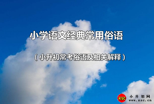 （小升初常考俗语及相关解释）.jpg