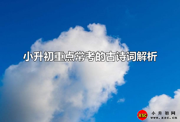 小升初重点常考的古诗词解析（极易考到的题型）