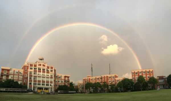 上海领科双语学校收费标准(学费)及学校简介