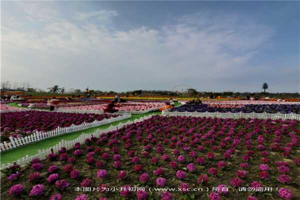 2019南京雨花台区跨区（市）就读小升初回区报名登记范围+材料+时间+流程