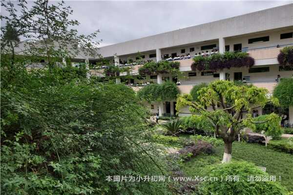 上海中小学生哪些情况可以转学？哪些情况不能转学？