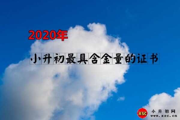 2020年小升初最具含金量的证书