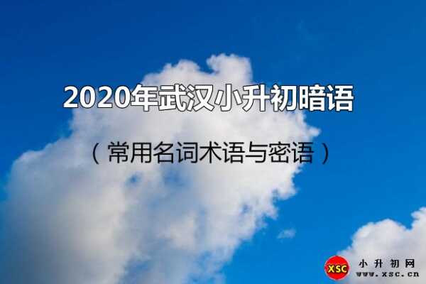 2020年武汉小升初暗语（常用名词术语与密语）