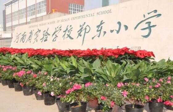 河南省实验中学思达外国语小学入学方式+收费标准+家长评价