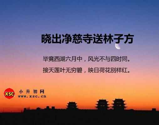 晓出净慈寺送林子方阅读答案(阅读理解题及答案)