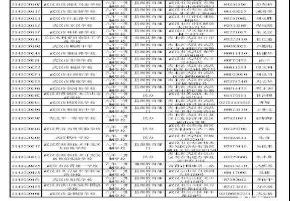 武汉九年一贯制学校汇总