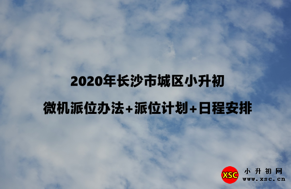 2020年长沙市城区小升初微机派位办法+派位计划+日程安排