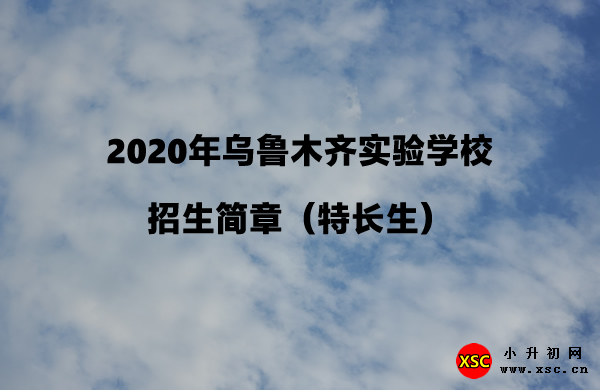 2020年乌鲁木齐实验学校招生简章（特长生）.jpg