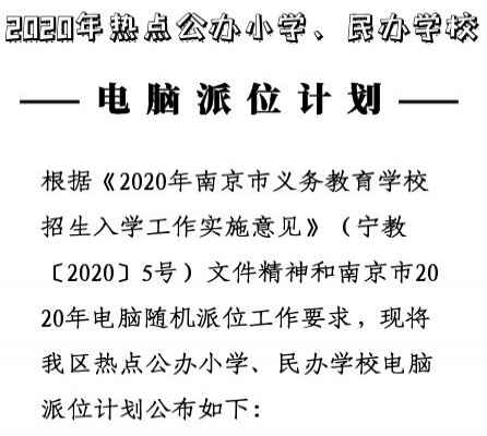 2020南京雨花台区公办小学、民办学校电脑派位报名时间+派位计划