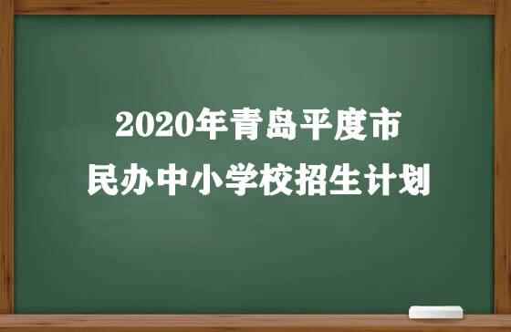 2020年青岛平度市民办中小学校招生计划