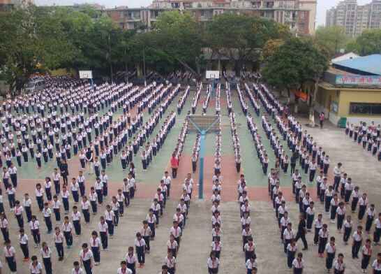 中山市黄圃雏鹰学校收费标准(学费)及学校简介