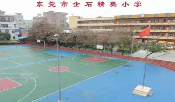 东莞市企石精英小学收费标准(学费)及学校简介