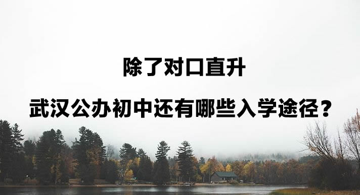 除了对口直升武汉公办初中还有哪些入学途径？.jpg