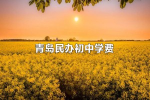 青岛民办初中近五年收费标准