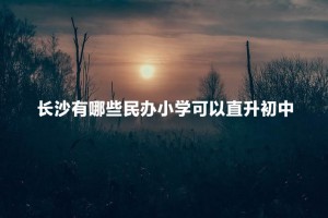 长沙有哪些民办小学可以直升初中