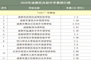 成都小升初选择公立学校和私立学校的优劣势对比分析