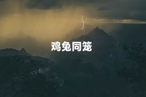 鸡兔同笼全部解法(鸡兔同笼最简单的解法盘点)