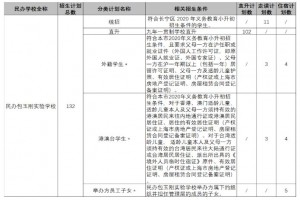 2021年上海面向全市范围招生的民办初中学校一览