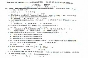 2021青岛小学六年级上册数学期末考试试卷(西海岸高新区西区)