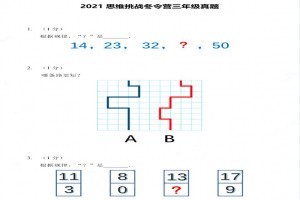 2021希望数学深度探索思维挑战冬令营三年级考试真题及答案