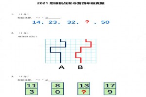 2021希望数学深度探索思维挑战冬令营四年级考试真题及答案