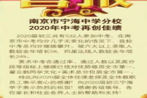 2020年南京市宁海中学分校中考成绩升学率(中考喜报)