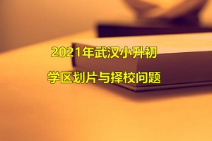 2021年武汉小升初学区划片与择校问题