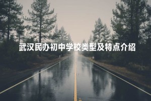 武汉民办初中学校类型及特点介绍