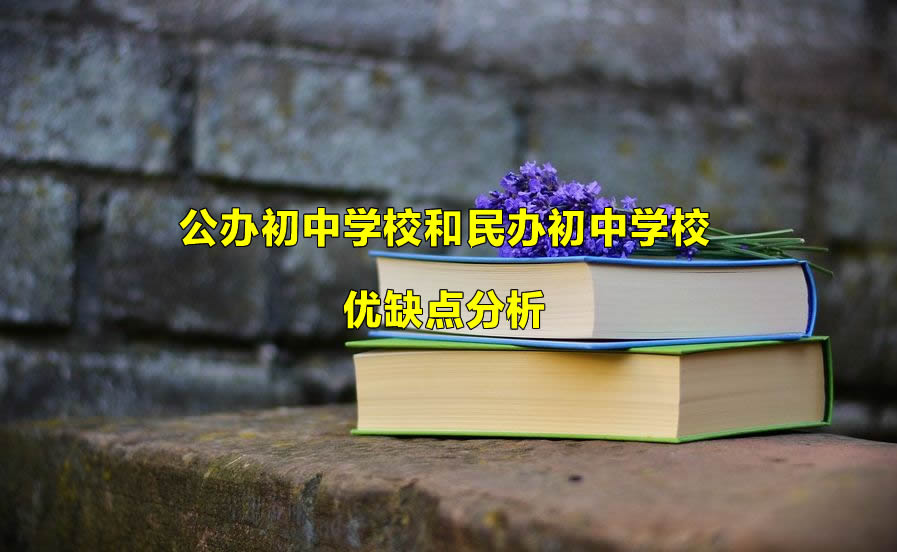 公办初中学校和民办初中学校的优缺点分析.jpg