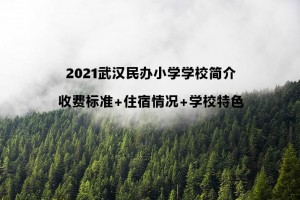 2021武汉民办小学学校简介(收费标准+住宿情况+学校特色)