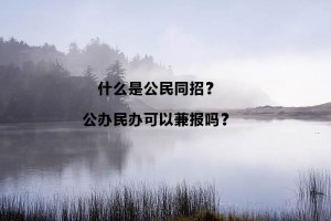 什么是公民同招？公办民办可以兼报吗？