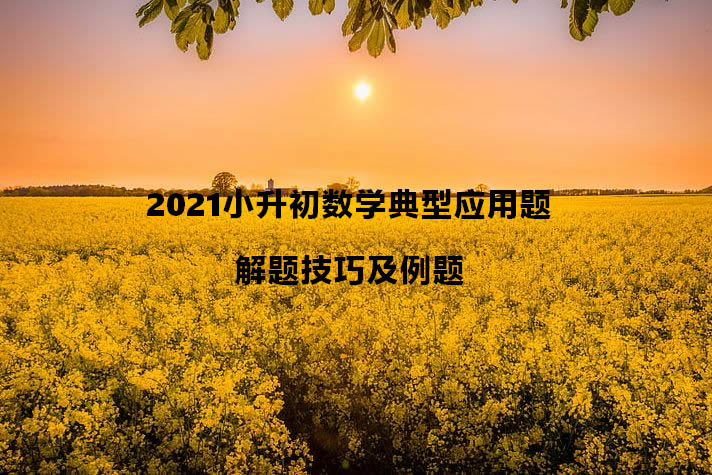 2021小升初数学典型应用题解题技巧及例题.jpg