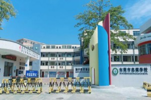 东莞市东坑忠简学校2021招生计划(附新生入学意向调查)