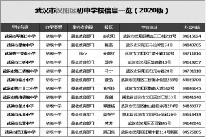 2021武汉汉阳区初中学校排名(根据中考成绩梯队划分)