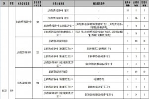 2021年上海徐汇区民办初中招生计划一览表